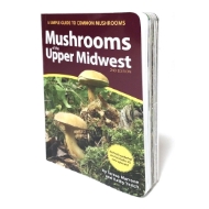 Mushrooms of the Midwest