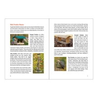 Inside look at "Birding for Beginners - Midwest" with 4 color photos of birdfeeders accompanied with descriptive text.