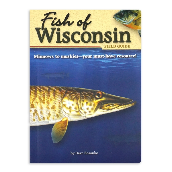 Fish of Wisconsin: Field Guide | Wisconsin Historical Society Store