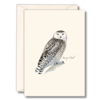 Note card with illustration of a snowy owl as painted by Sibley with matching envelope.