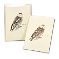 Note cards with illustration of a snowy owl as painted by Sibley. Shown with clear plastic box.