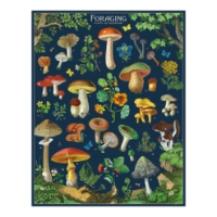 Cavallini vintage "Foraging" puzzle, assembled, with vintage illustrations of a variety mushrooms. 