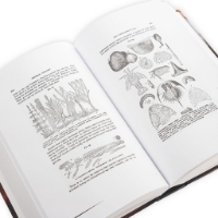 Page spread from"Geology of Wisconsin, Vol. 1" showing black and white illustrations of carboniferous fossils..